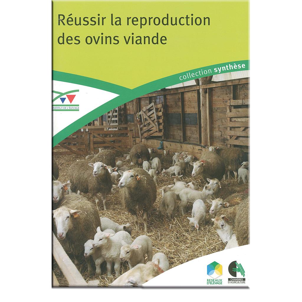Réussir la reproduction des ovins viande