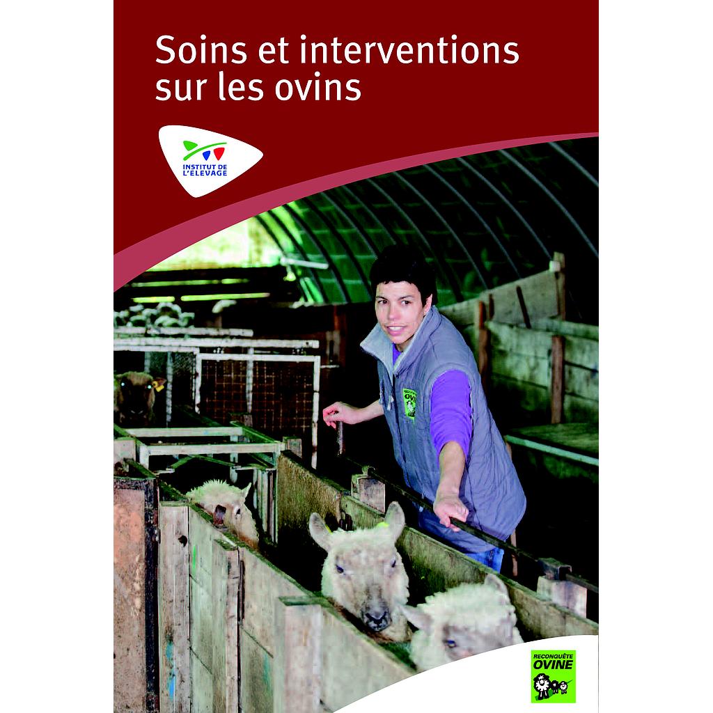 DVD Soins et interventions sur les ovins – Volume 1