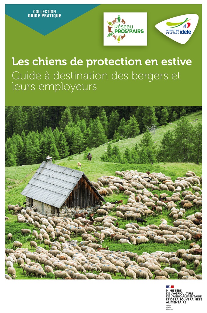 Les chiens de protection en estive – Guide à destination des bergers et de leurs employeurs