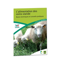 [T1852] L'alimentation des ovins viande