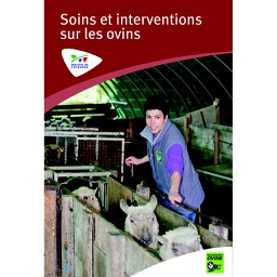 [TD119] DVD Soins et interventions sur les ovins – Volume 1
