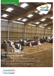 [T2130] Des vaches laitières en bonne santé