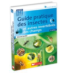 [A034] Guide pratique des insectes et autres invertébrés des champs