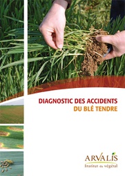 [B649] Diagnostic des accidents du blé tendre